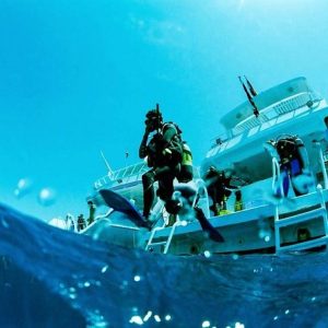 Scuba Diving Full Day Boat Trip for beginners