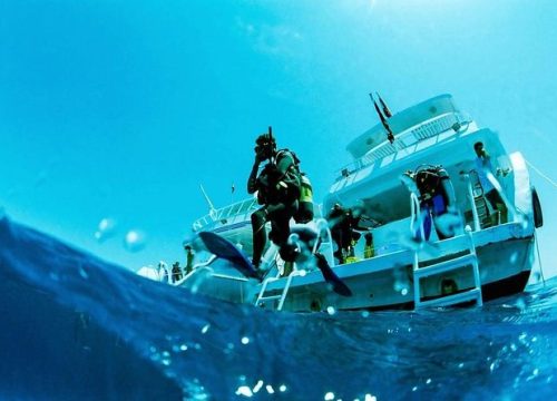 Scuba Diving Full Day Boat Trip for beginners