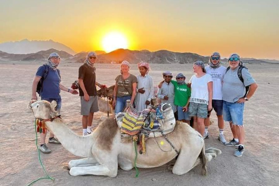 Super Safari ATV, Drive Buggy Car, Camel Ride, Bedouin Dinner, Show-Hurghada